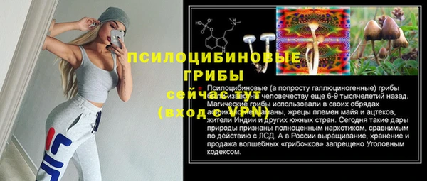 ГАЛЛЮЦИНОГЕННЫЕ ГРИБЫ Нефтекумск