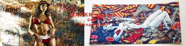 mdma Новодвинск