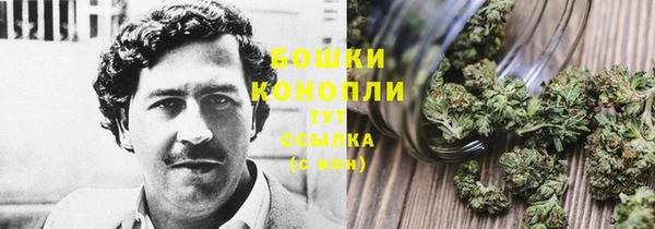 ГАЛЛЮЦИНОГЕННЫЕ ГРИБЫ Нефтекумск